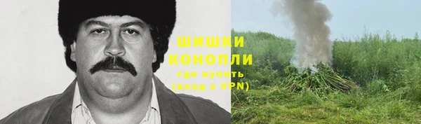 мдпв Волоколамск