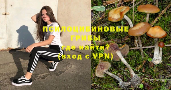 ECSTASY Володарск