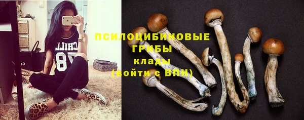 mdpv Верхний Тагил