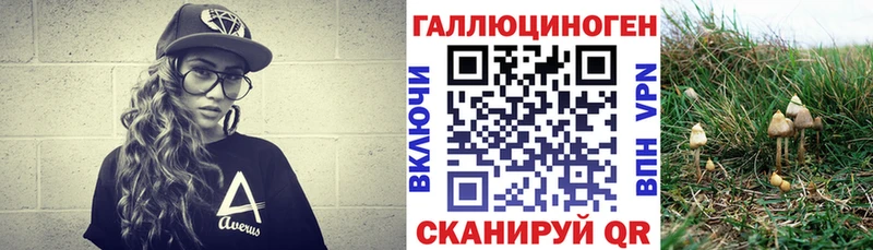 Псилоцибиновые грибы мицелий  Вышний Волочёк 